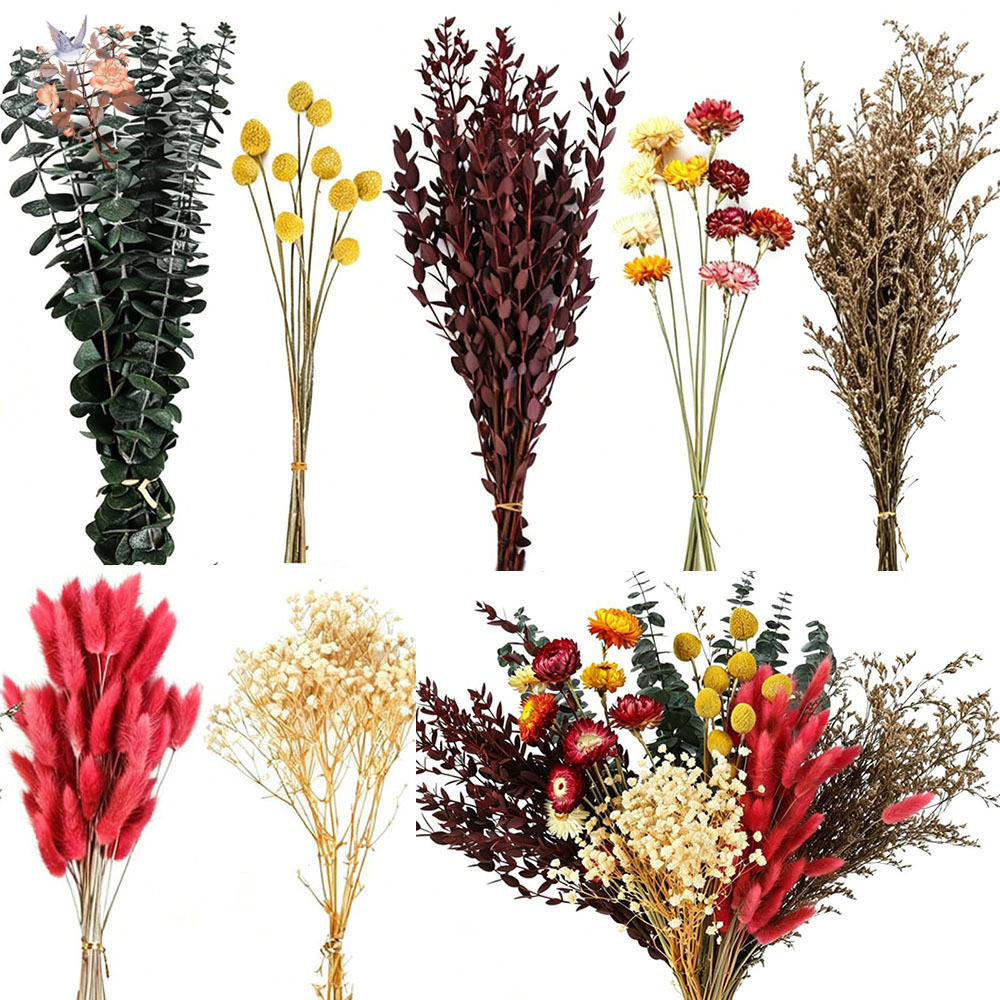 Florist Supply Bulk - Zestaw suszonych kwiatów, 7 gatunków, naturalne
