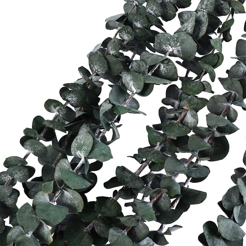 Eucalyptus Preserved - 10 szt. prawdziwych suszonych liści eukaliptusa,