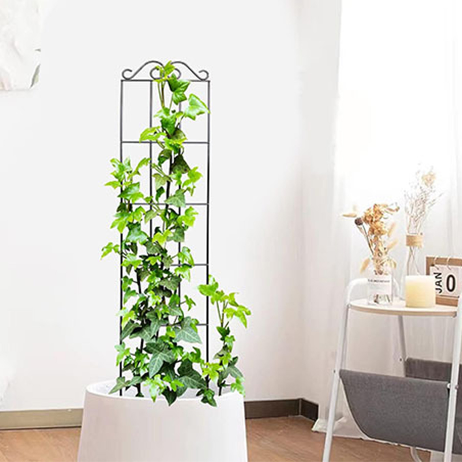 Kratownica ogrodowa Trwała kra – Florist Supply Bulk recenzja i cena