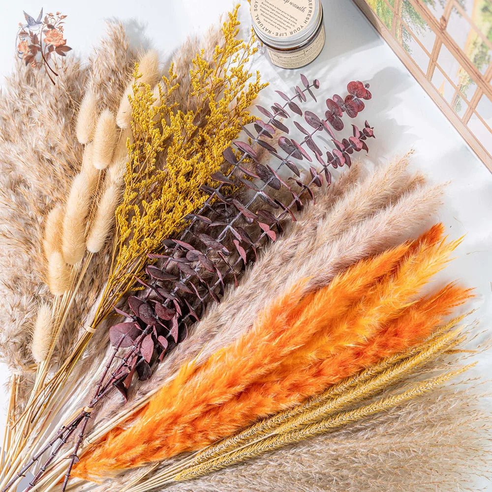 60 szt. Pomarańczowa trawa pam – Eucalyptus Preserved recenzja i cena