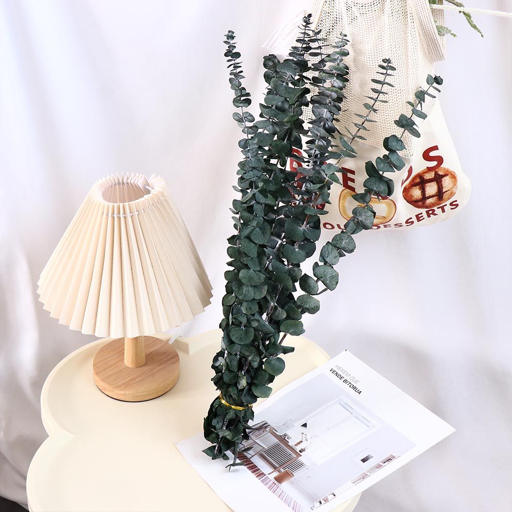 10 szt. prawdziwych suszonych  – Eucalyptus Preserved recenzja i cena