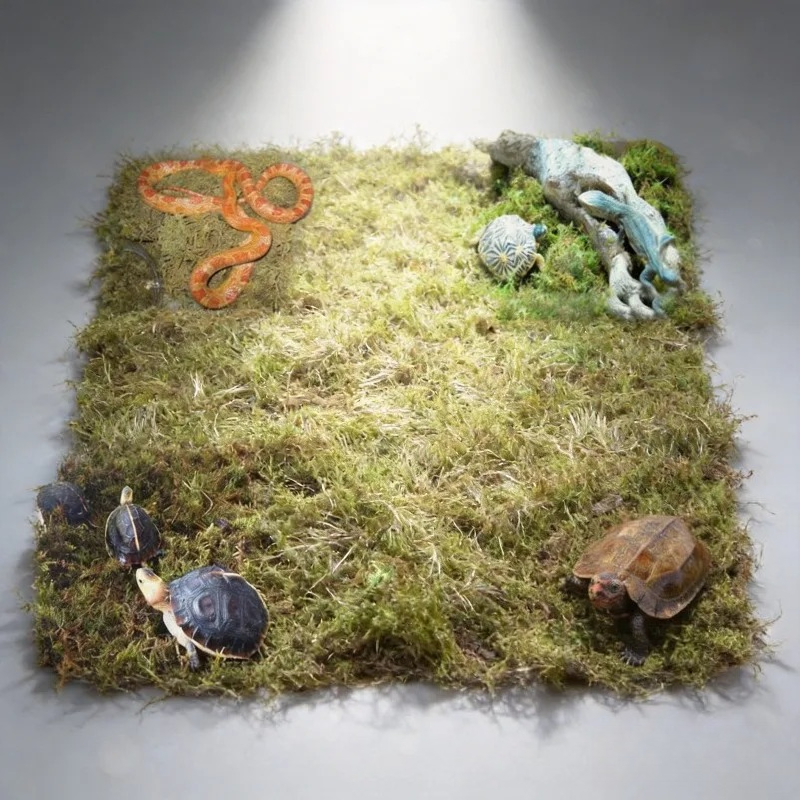 Naturalny suszony mech – podło – Preserved Moss Sheet recenzja i cena