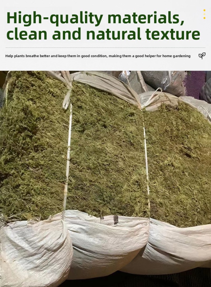 Naturalny suszony mech – podło – Preserved Moss Sheet recenzja i cena